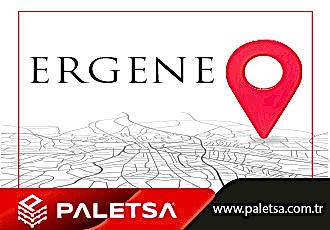 Palet Ergene